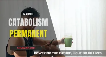 Muscle Catabolism: Can It Be Permanently Reversed?