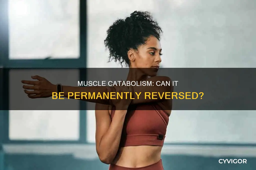 is muscle catabolism permanent