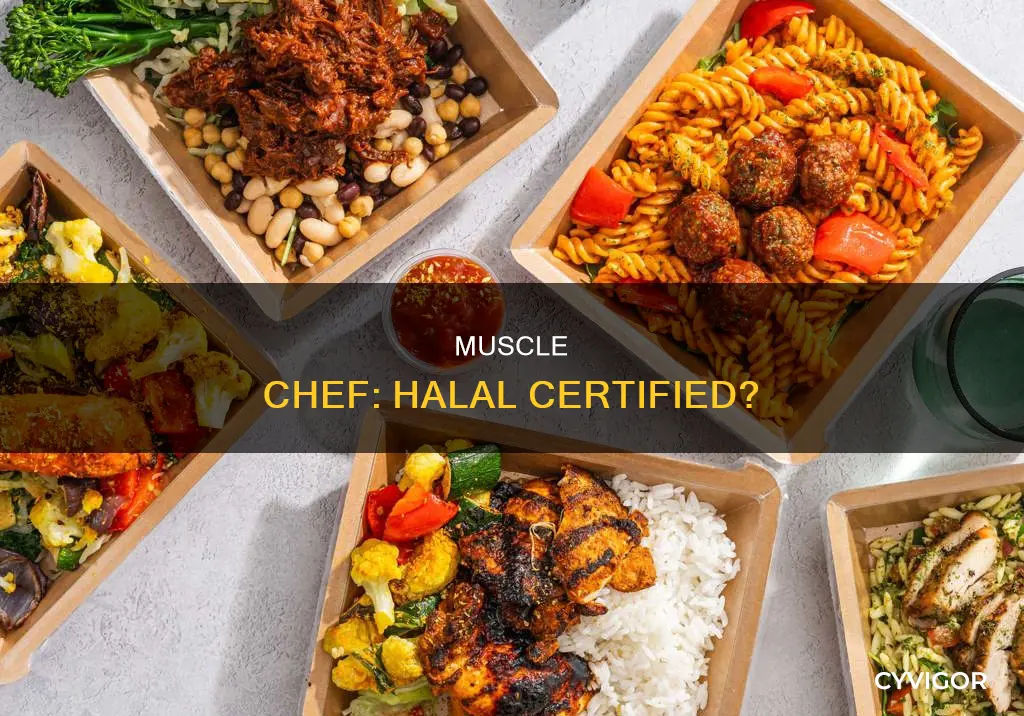 is muscle chef halal