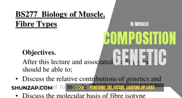 Muscle Composition: Nature or Nurture?