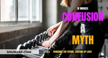 Muscle Confusion: Myth or Workout Revolution?