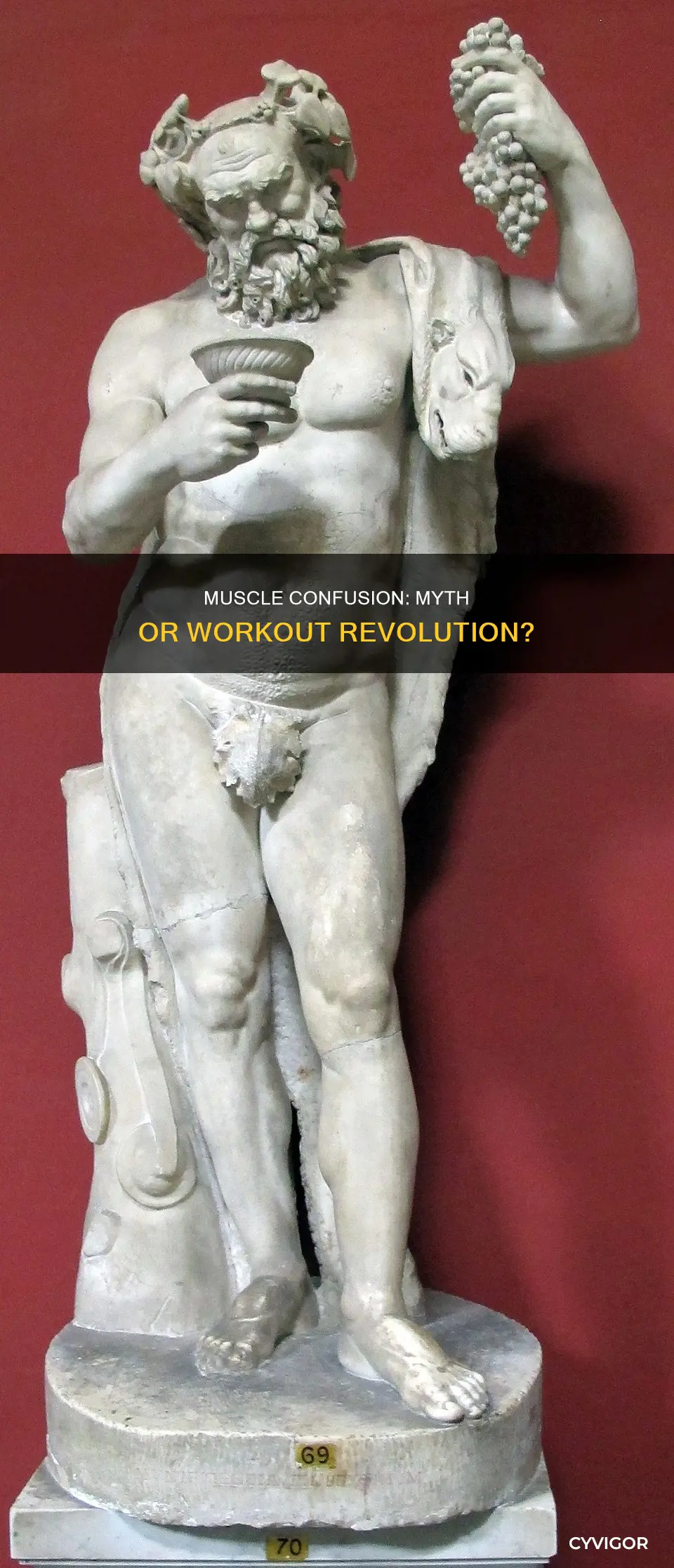 is muscle confusion a myth