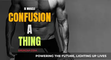 Muscle Confusion: Fact or Fiction?