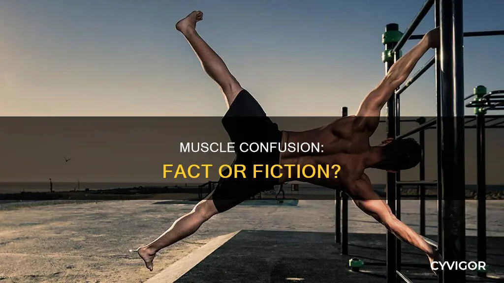 is muscle confusion real