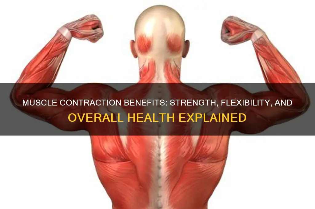 is muscle contraction good