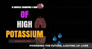 Potassium Paradox: Unraveling the Truth Behind Muscle Cramps
