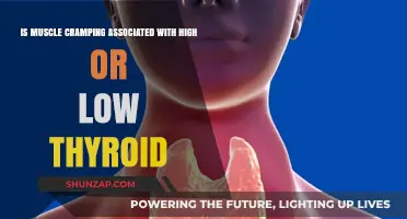 Thyroid Imbalance and Muscle Cramps: What's the Connection?