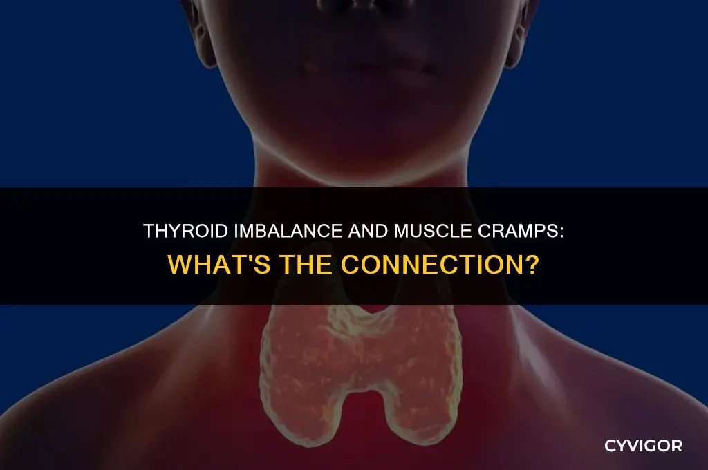 is muscle cramping associated with high or low thyroid
