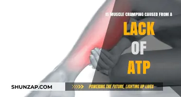 Muscle Cramps: ATP Deficiency or Something Else?