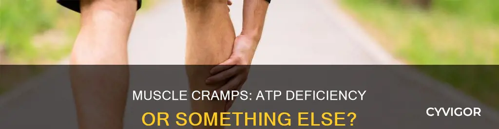 is muscle cramping caused from a lack of atp