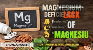 Unraveling the Myth: Muscle Cramps and Magnesium Deficiency