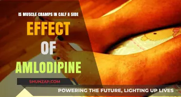 Exploring the Link: Can Amlodipine Cause Calf Muscle Cramps?