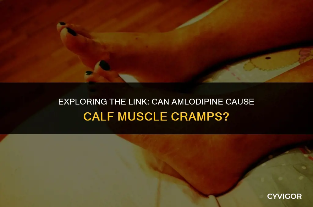 is muscle cramps in calf a side effect of amlodipine