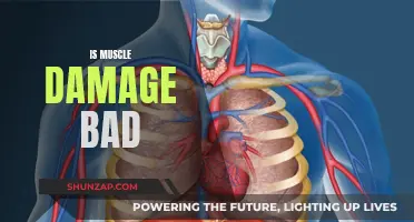 Muscle Damage: Friend or Foe?