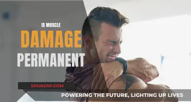Muscle Damage: Can It Be Repaired or Reversed?