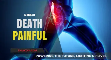 Is Muscle Death Painful? Understanding Necrosis and Its Symptoms