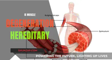 Muscle Degeneration: Is This Hereditary Trait Inevitable?