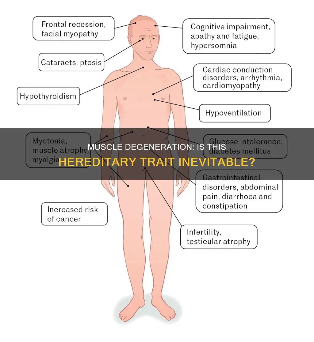 is muscle degeneration hereditary
