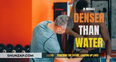 Muscle Density: Heavier Than Water?