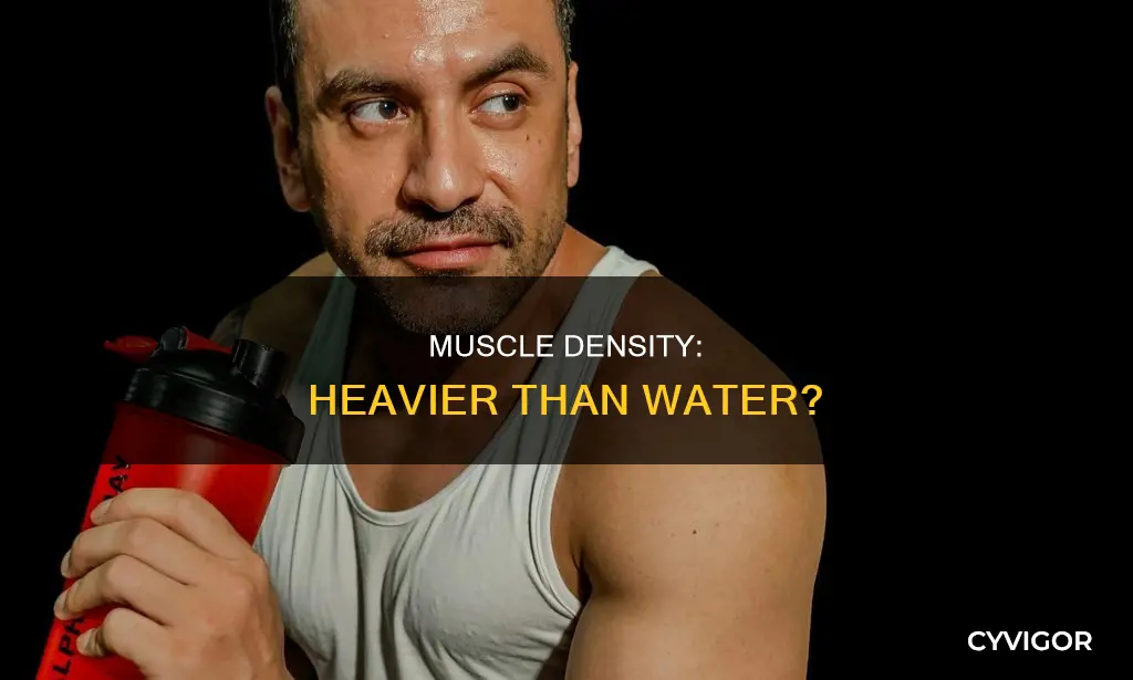 is muscle denser than water