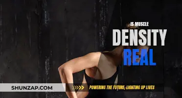 Muscle Density: Myth or Reality?