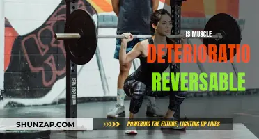 Reversing Muscle Deterioration: Is It Possible?