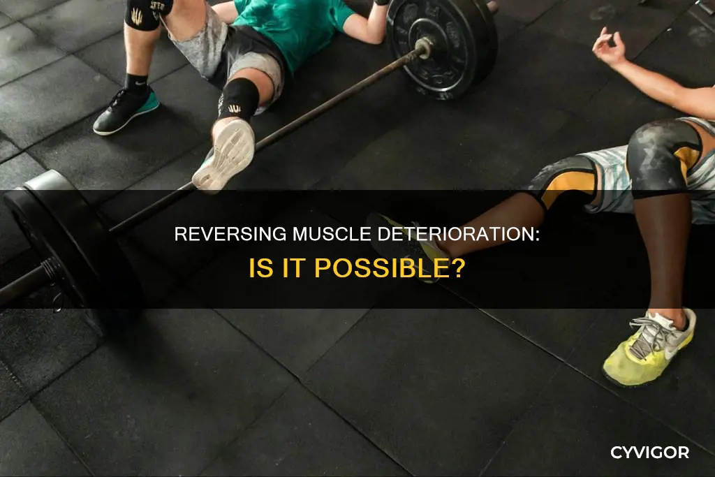 is muscle deterioration reversable