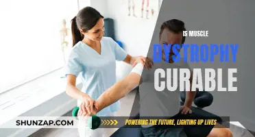 Muscle Dystrophy: Is a Cure Possible?