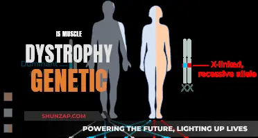 Muscle Dystrophy: Genetic Roots and Understanding the Condition