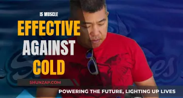 Muscle Power: Effective Cold-Weather Protection?