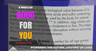 Is Muscle Egg Healthy? Benefits, Nutrition, and Potential Drawbacks Explained