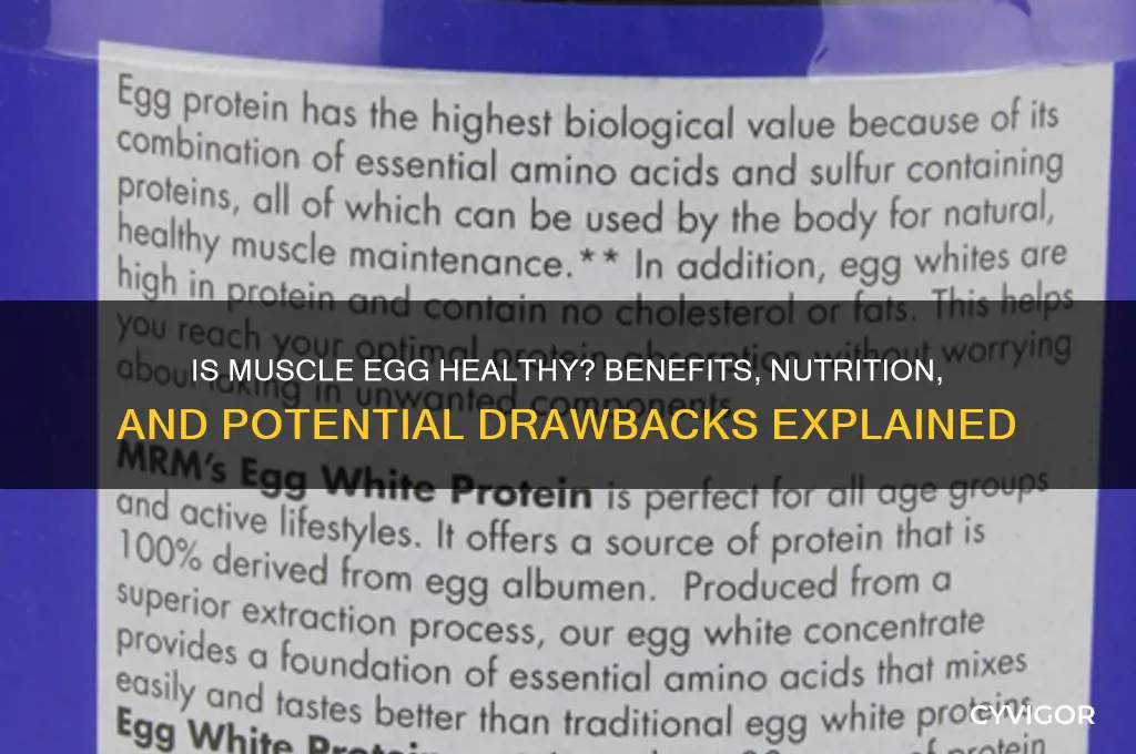 is muscle egg good for you
