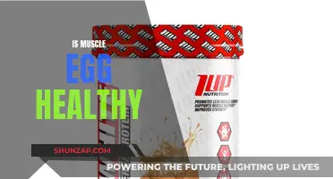 Muscle Egg Health: What You Need to Know