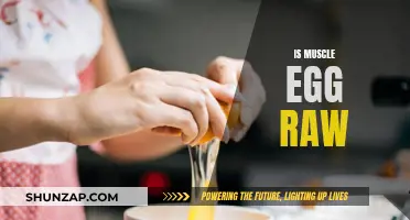 Muscle Egg: Raw Power or Risky Business?