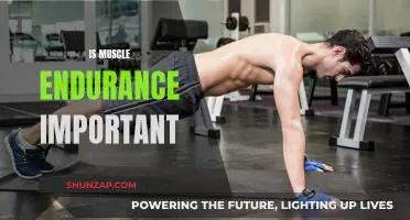 Muscle Endurance: Why It's Important for Overall Fitness