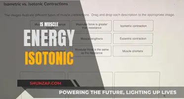 Muscle Energy Work: Isotonic or Not?