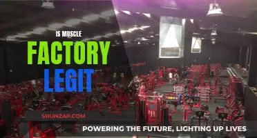 Muscle Factory Legitimacy: Is It a Reliable Source?