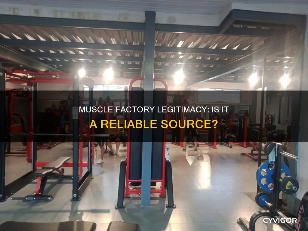 is muscle factory legit