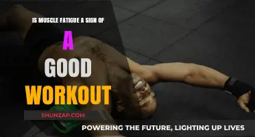 Muscle Fatigue: Indicator of a Productive Workout or Overtraining?