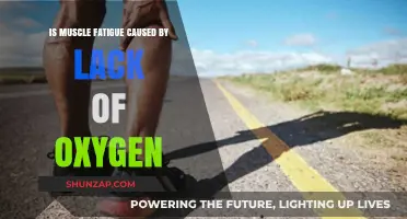 How Does Lack of Oxygen Cause Muscle Fatigue?