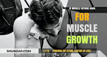 Muscle Fatigue: A Key Factor in Muscle Growth?