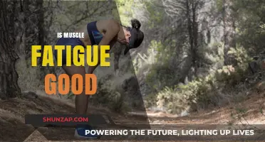 Is Muscle Fatigue Beneficial for Strength and Recovery?
