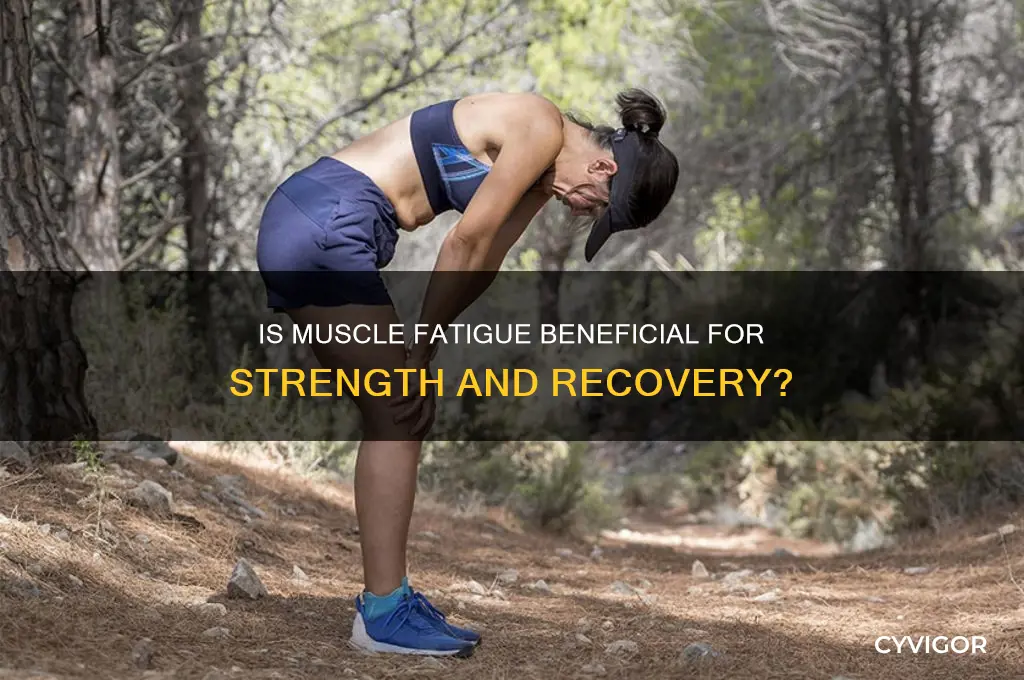 is muscle fatigue good