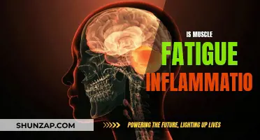 Muscle Fatigue and Inflammation: What's the Connection?