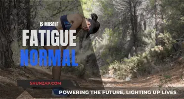 Muscle Fatigue: Is It Normal or a Concern?