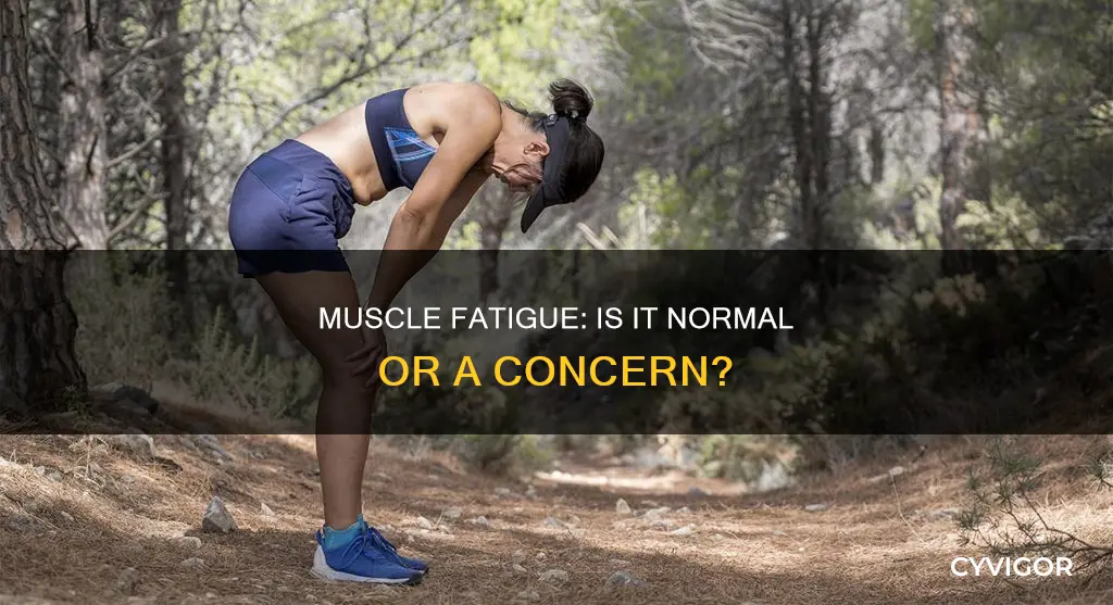 is muscle fatigue normal