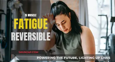 Reversing Muscle Fatigue: Achieving a Full Recovery