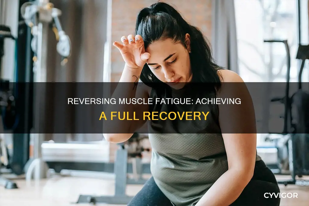 is muscle fatigue reversible