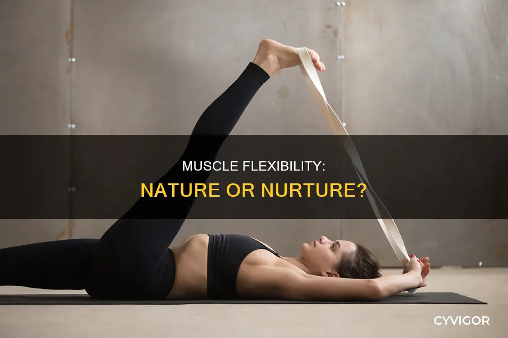 is muscle flexibility genetic