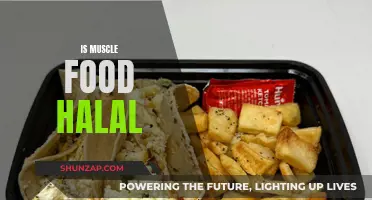 Muscle Food: Halal or Haram?
